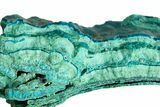 Teal Botryoidal Chrysocolla and Malachite - Chile #310156-1